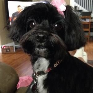 Meet your Posher, Terry